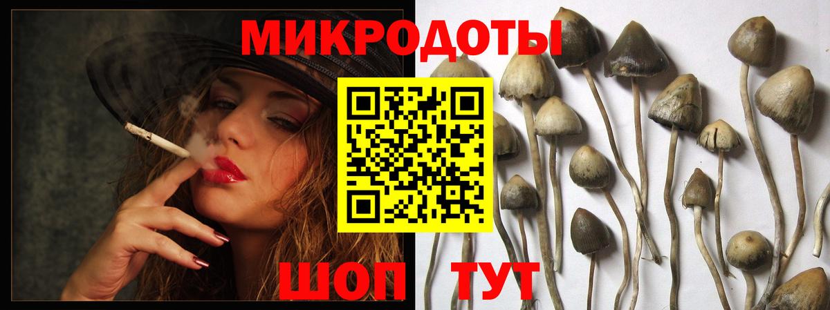 Псилоцибиновые грибы Cubensis Старая Купавна